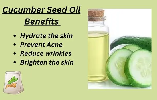 cucumber seed oil benefits