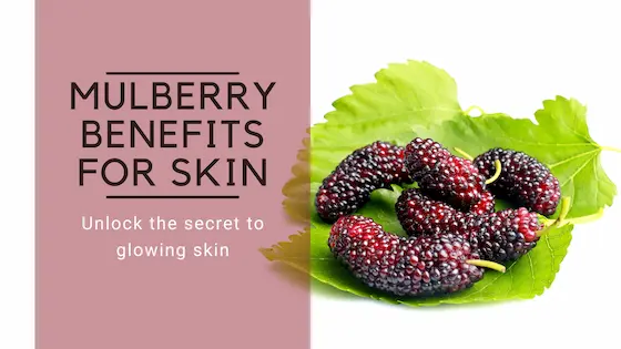 mulberry extract for skin