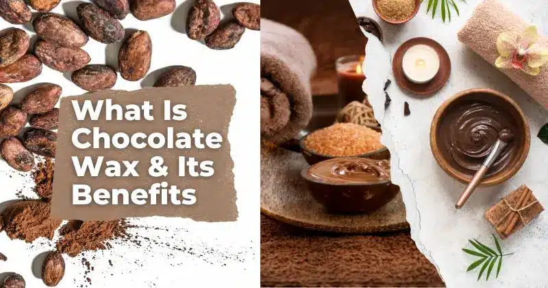 What Is Chocolate Wax & Its Benefits